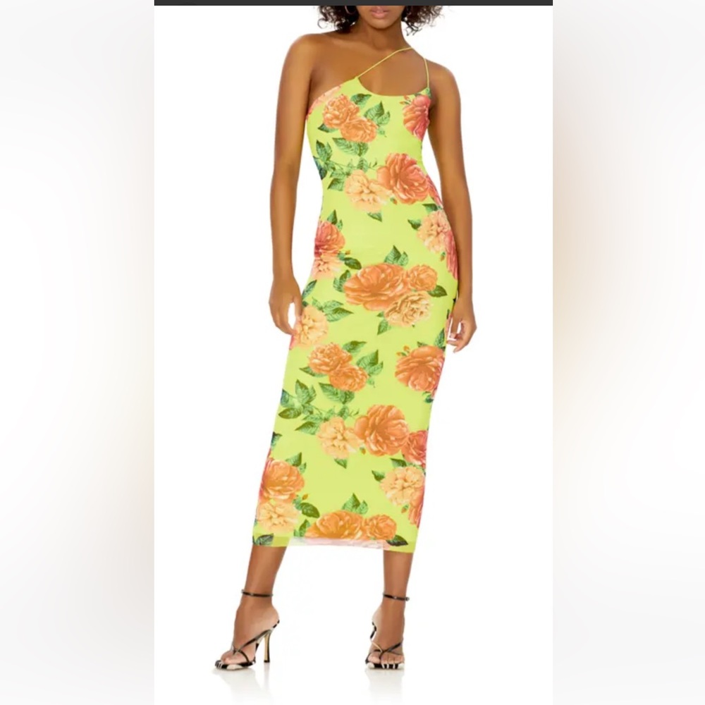 AFRM analena mesh dress in line rose garden